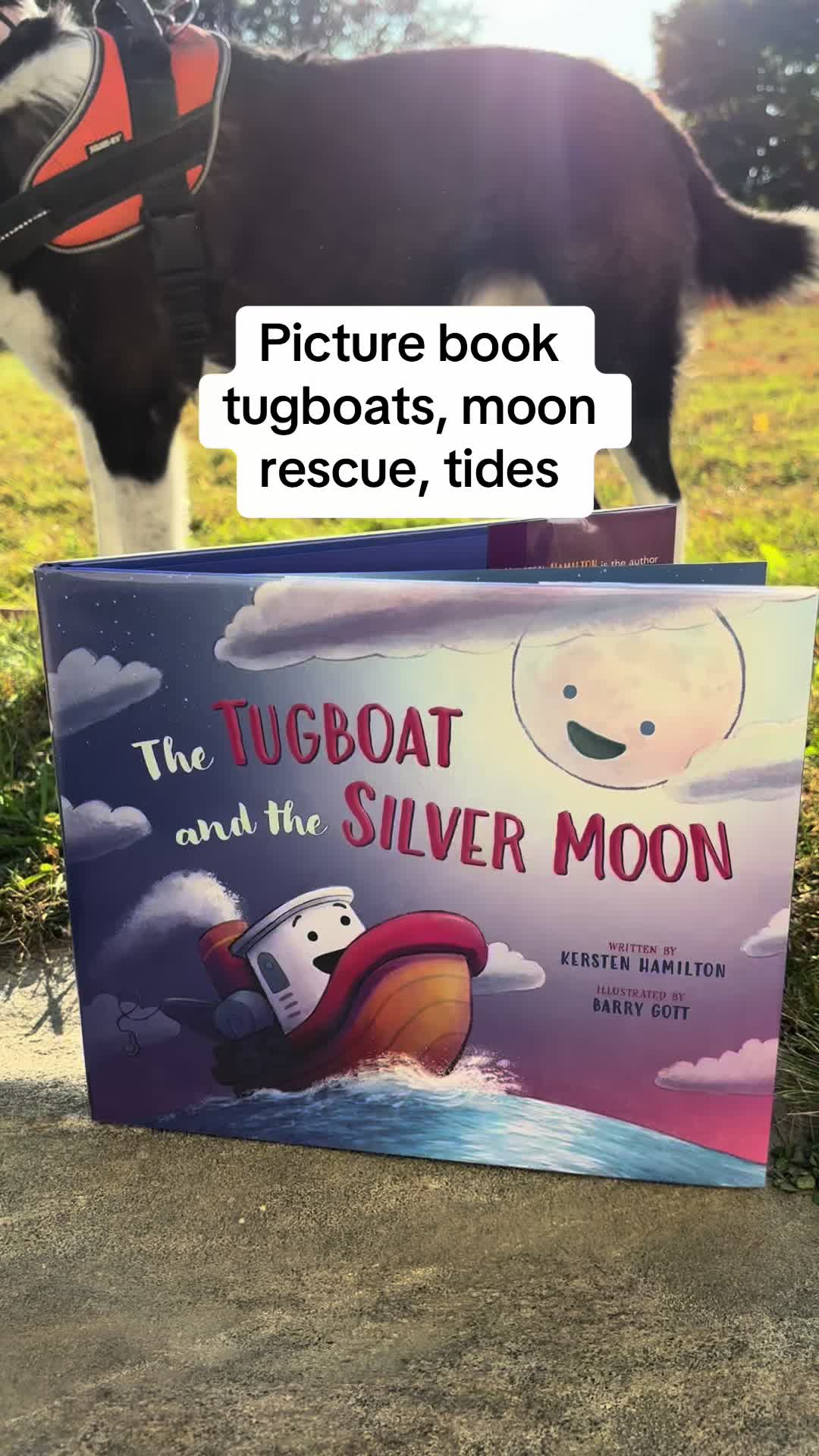 @Scoutie&Mebooks