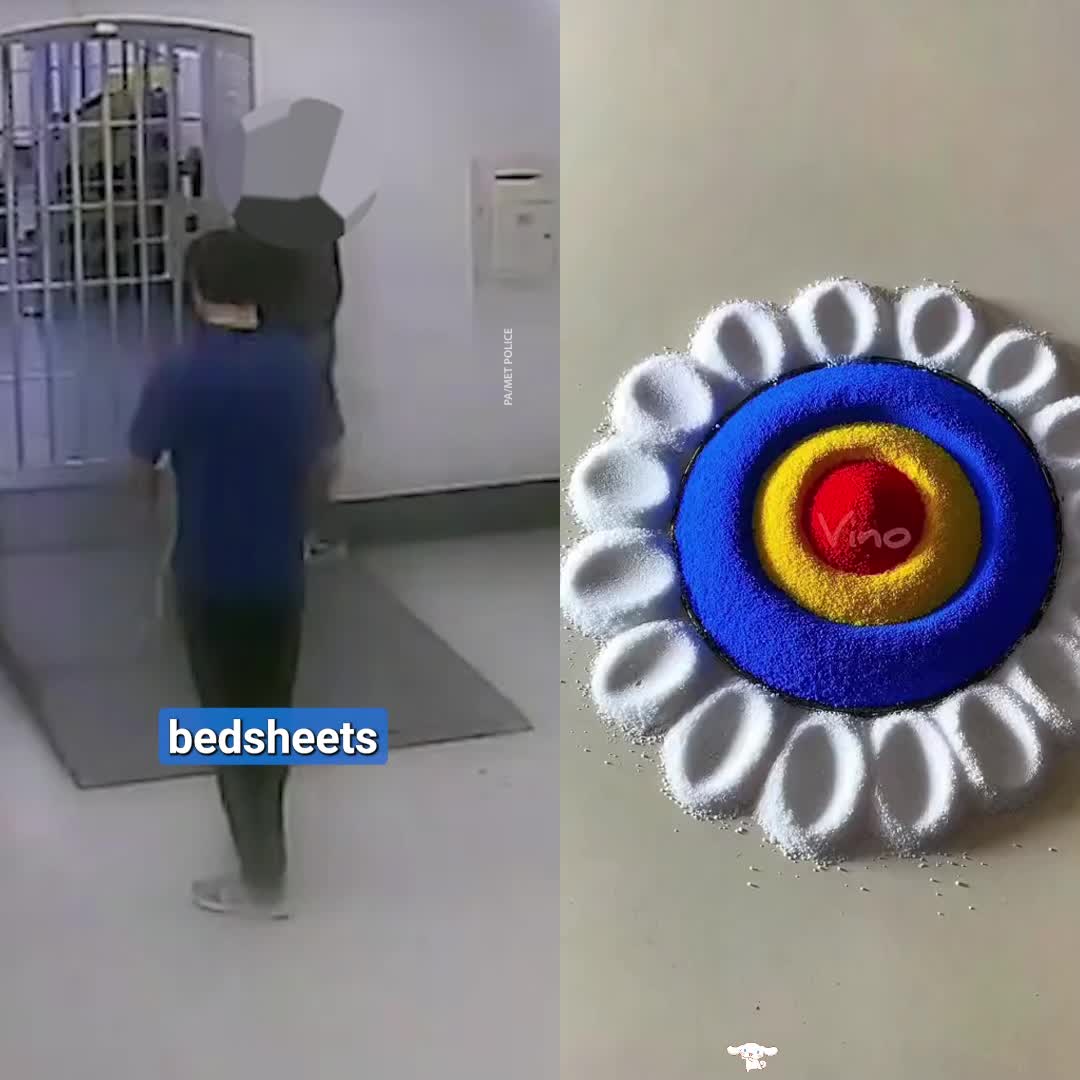 @user91241369653243