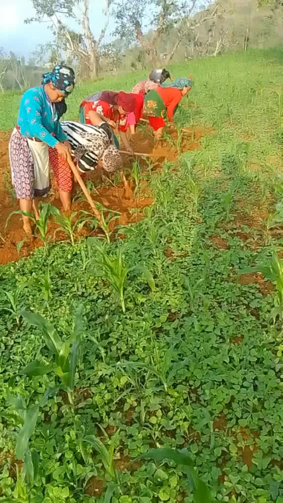 @sinjali durgi