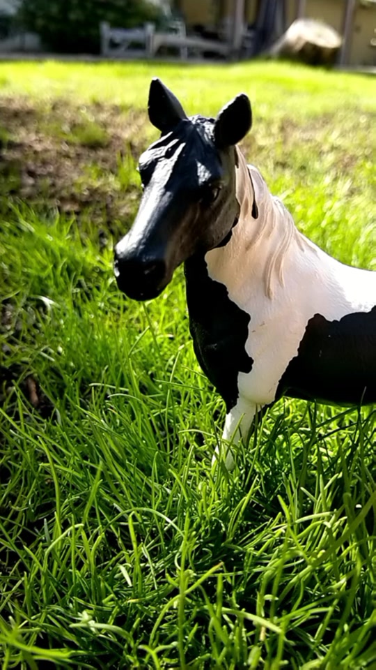 @❤Schleich🧡Today💛