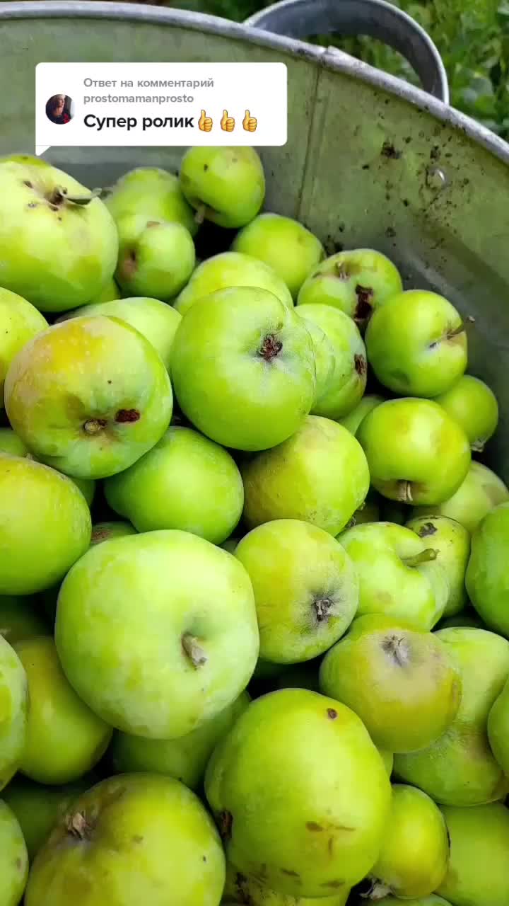 @ВИТАЛИЙ 56рус