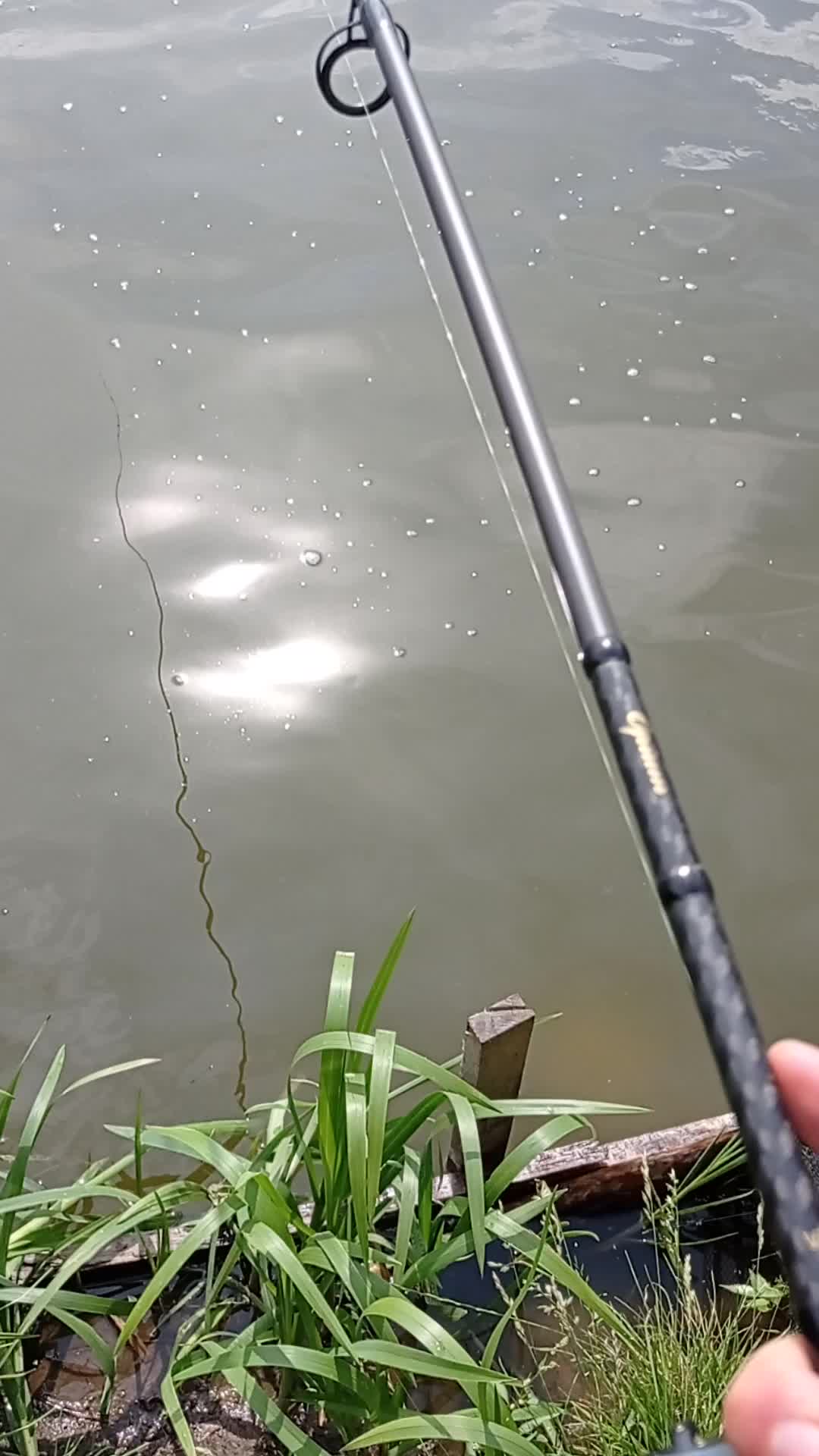 @Fishing With Igor 🐟🐠