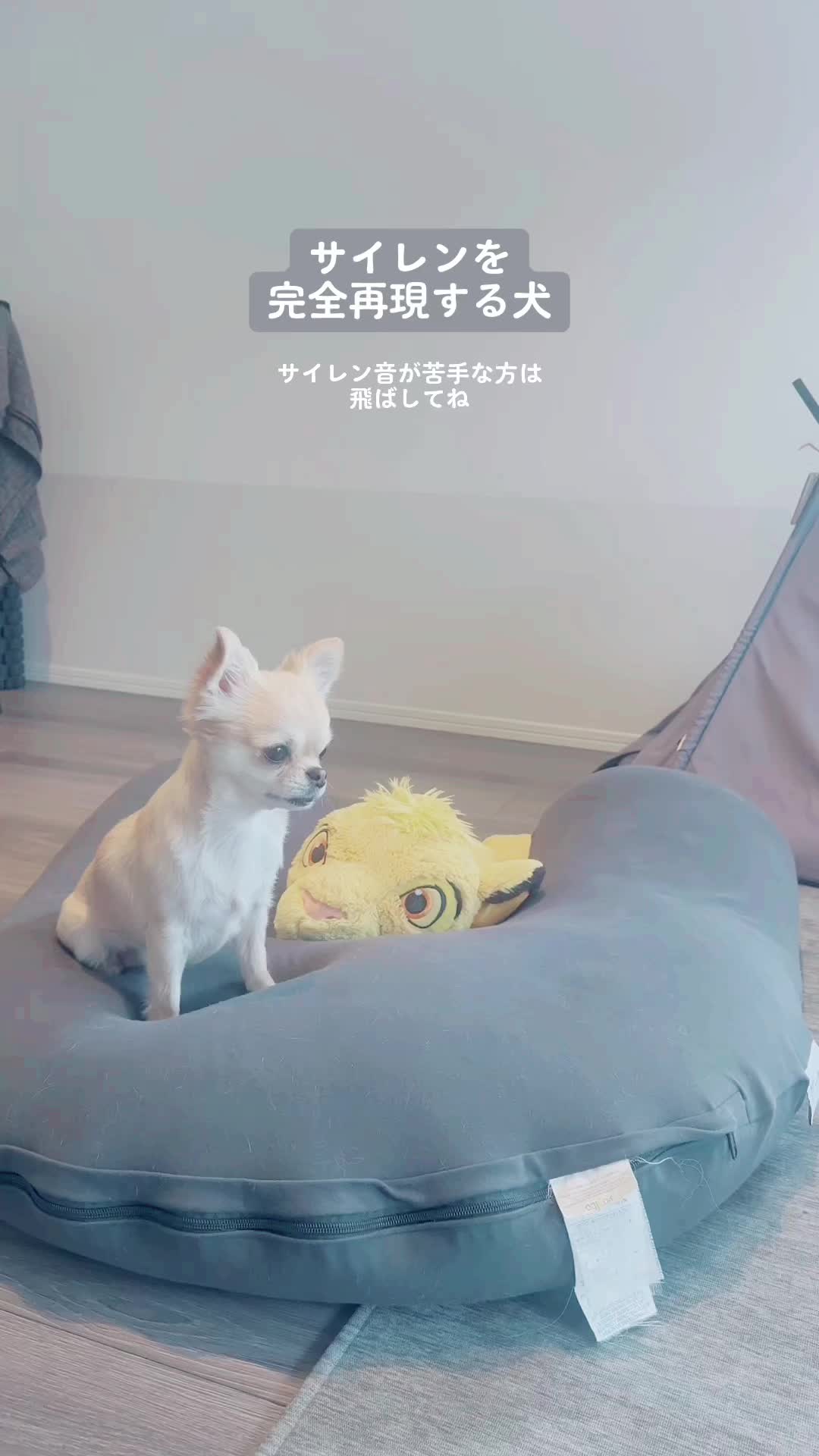 @きなこおぜん