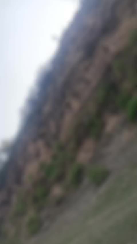 @Shahzeb momand