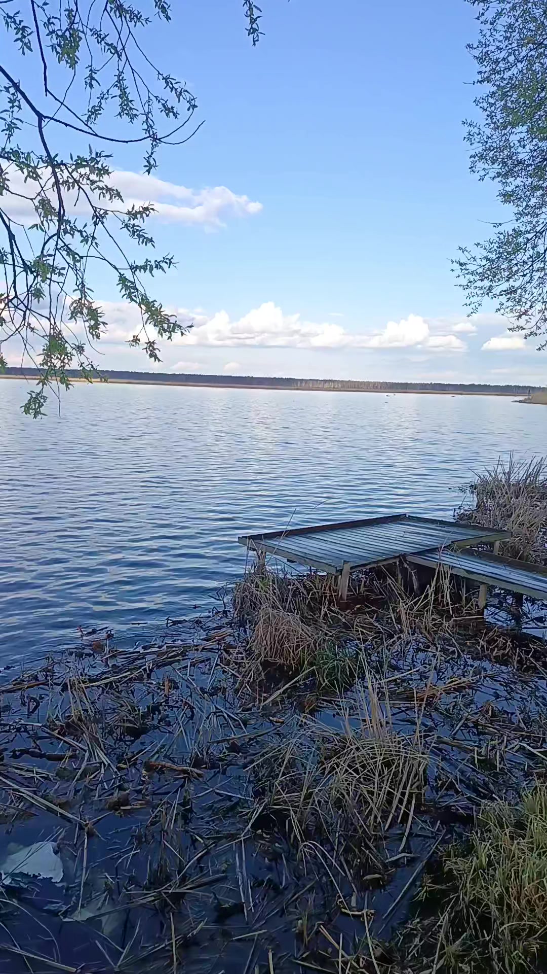 @Артур Купрацеаич