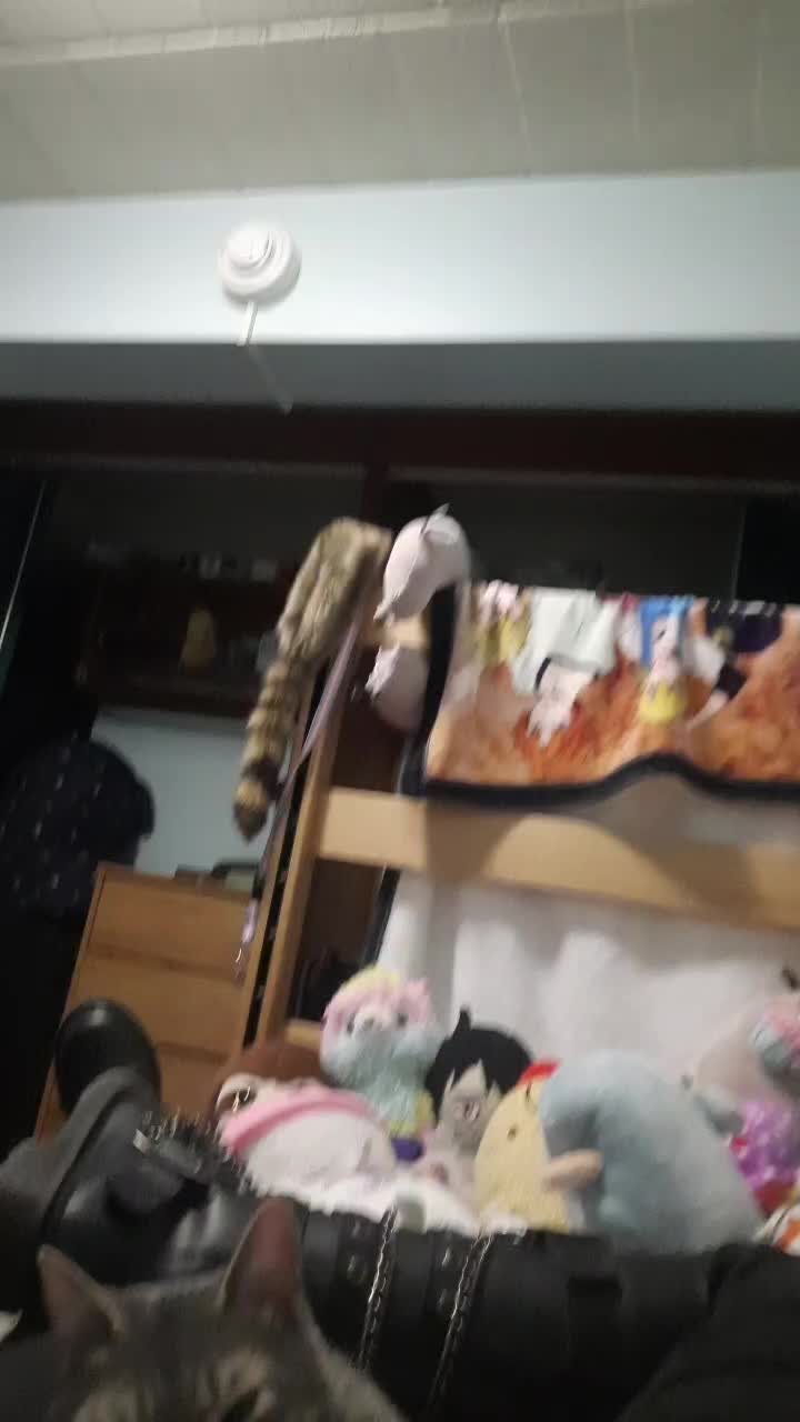 @Tsakia
