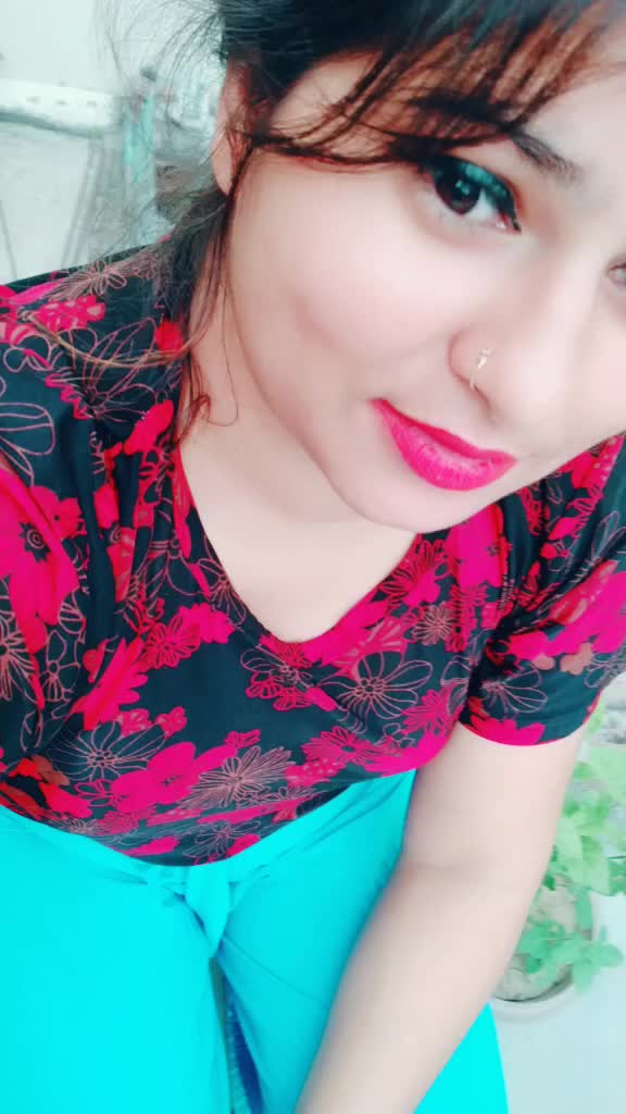 @sheebakoli5101994