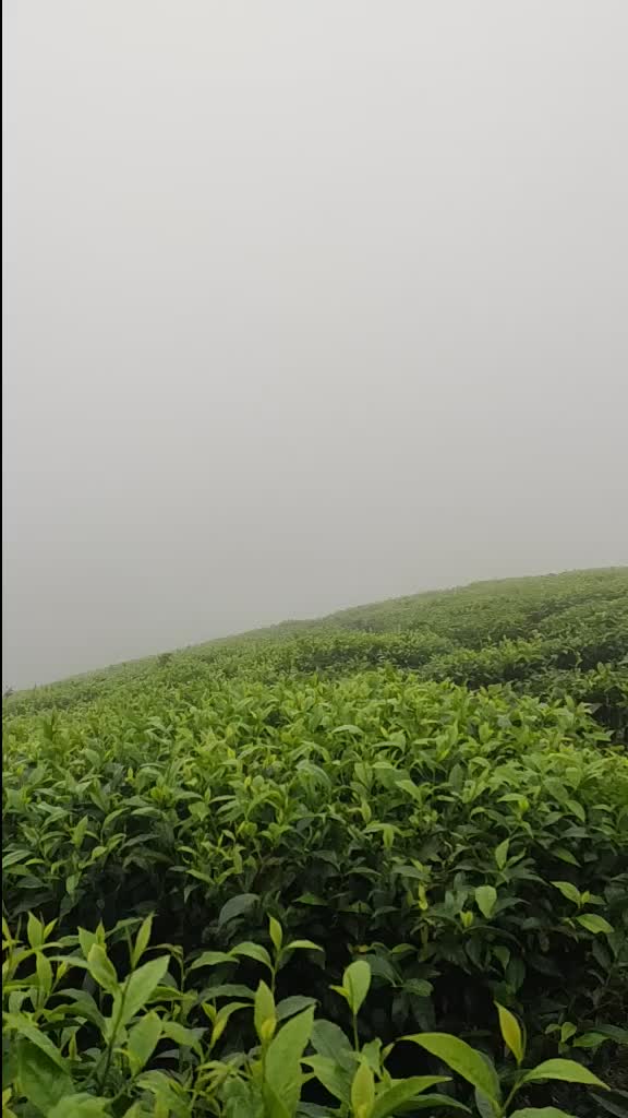 @Meenakshi Anirudhan