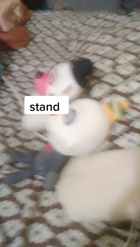 @SonicCoolStar