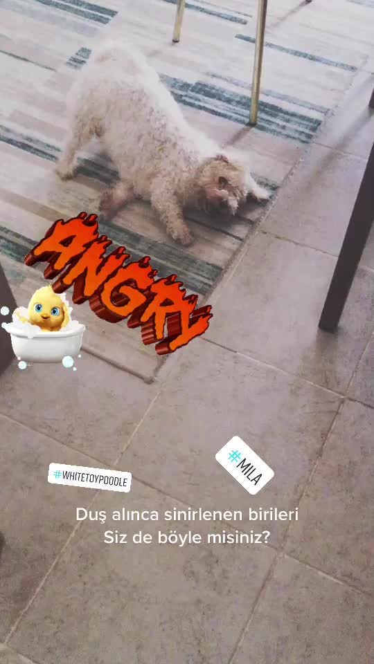 @🖊Bir yazarlık masalı.. 🖊