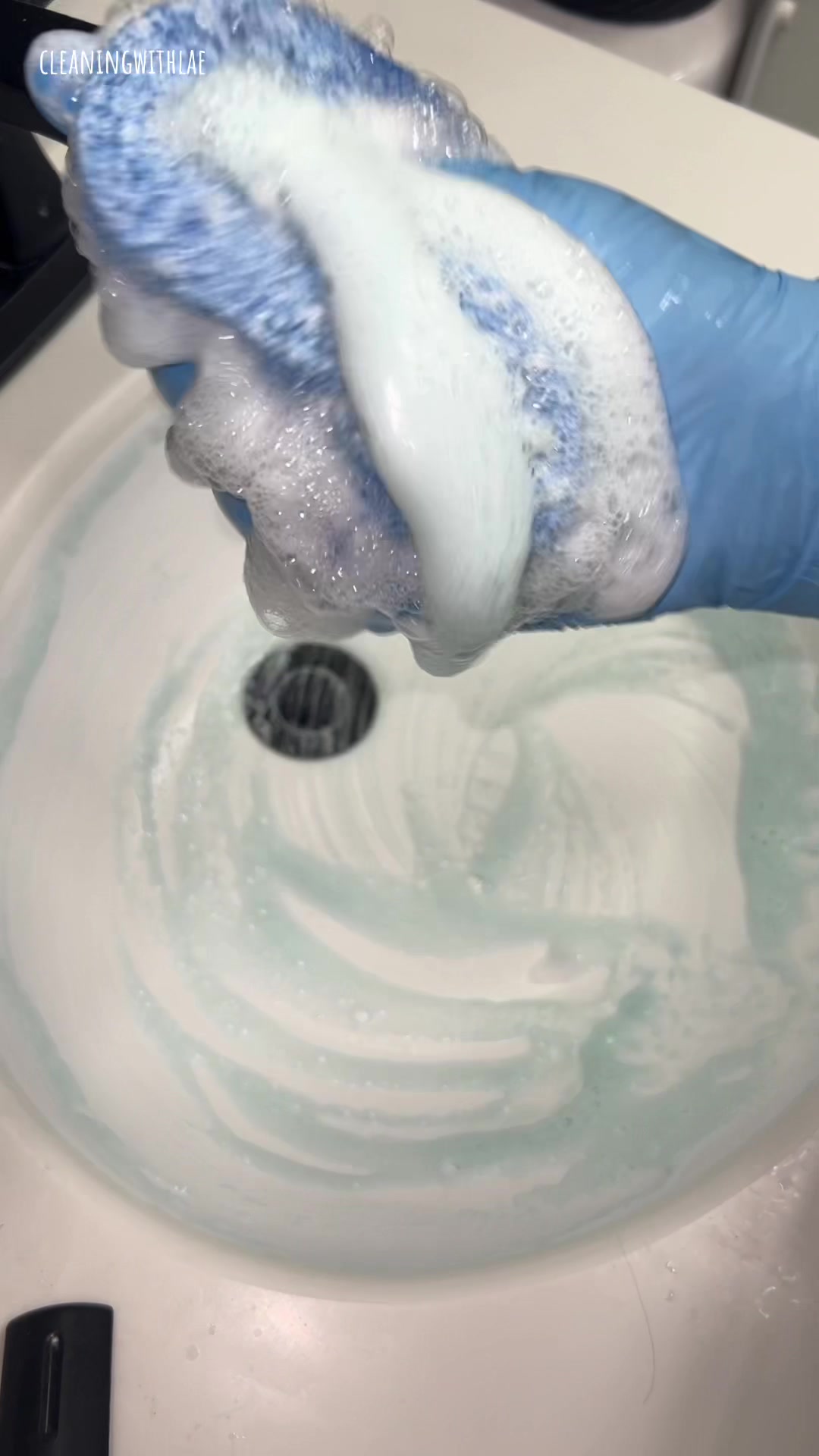 @cleaningwithlae