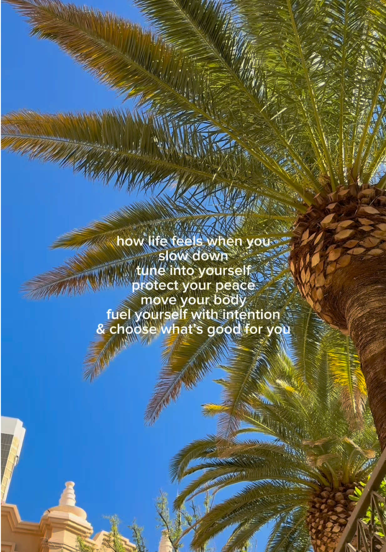 @olive