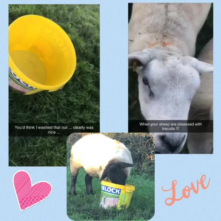 @FARMvisor