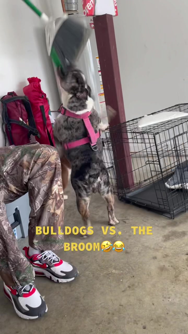 @BulldogMafiaGroup