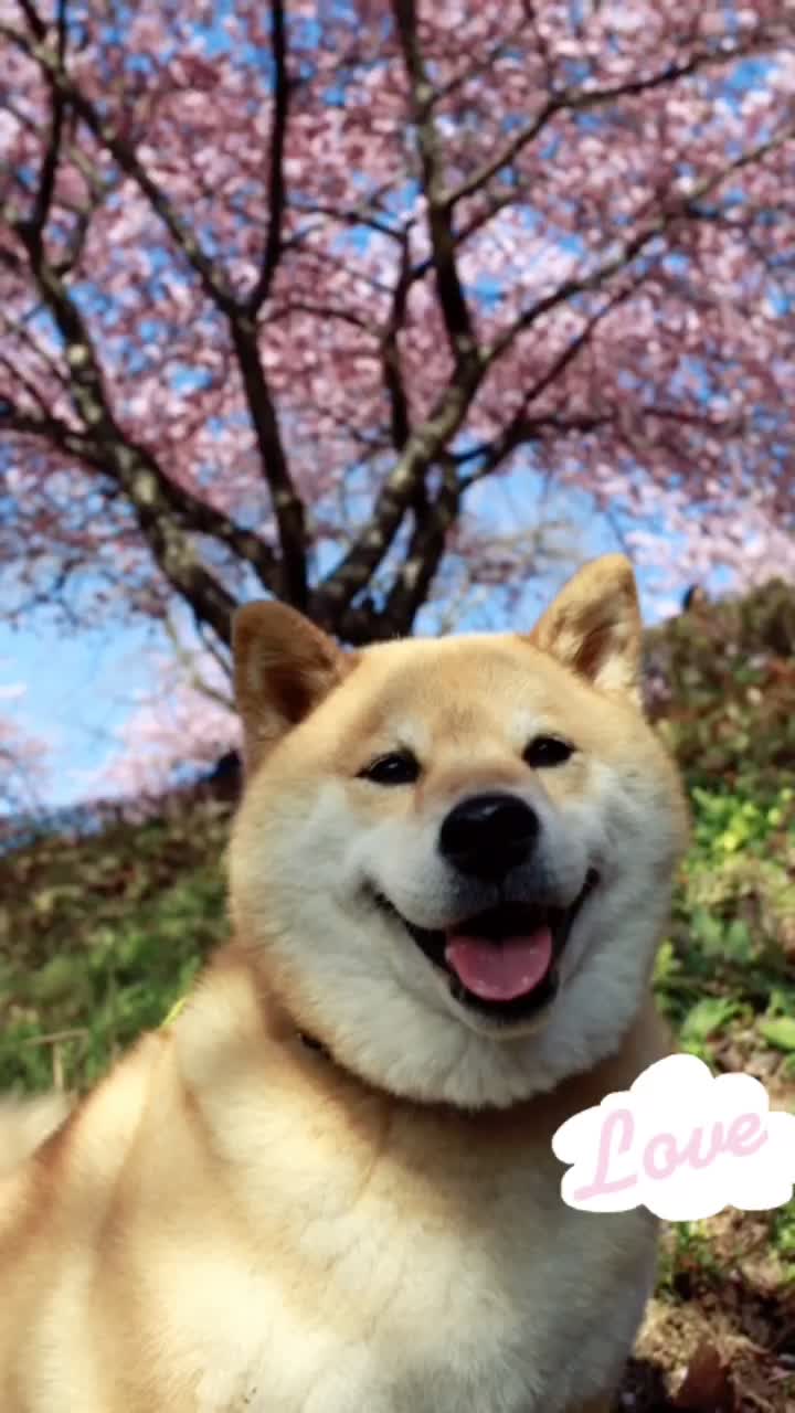 @秋冬の流行感のあるズボン