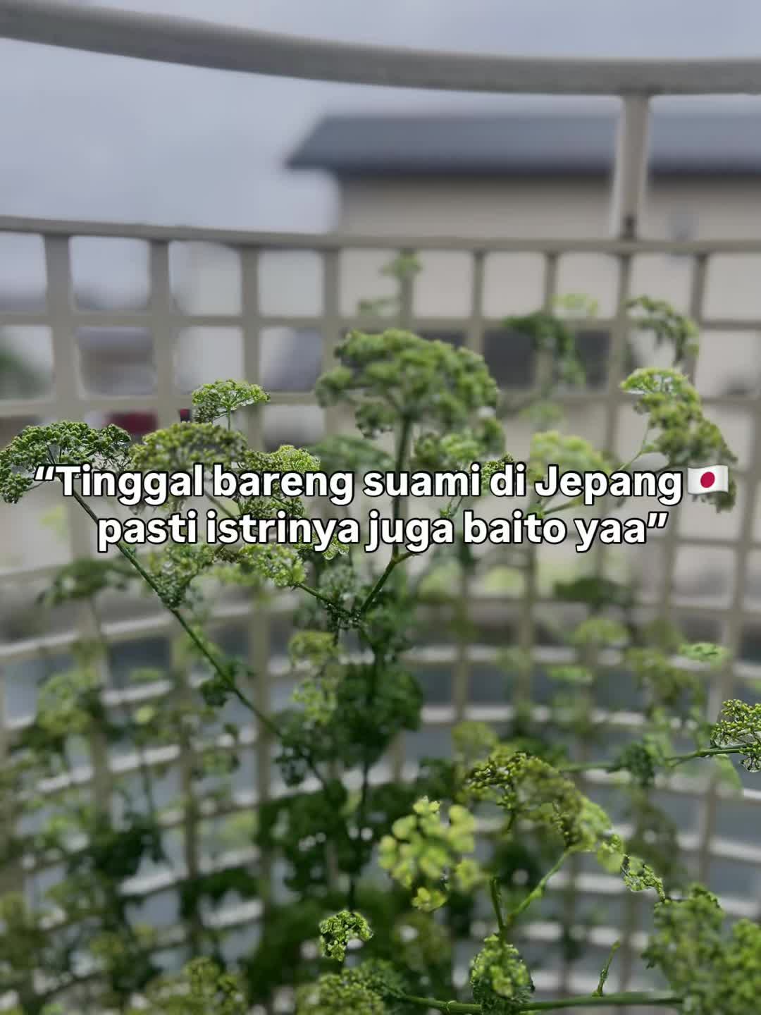 @mawarayuaziz🇲🇨🇯🇵
