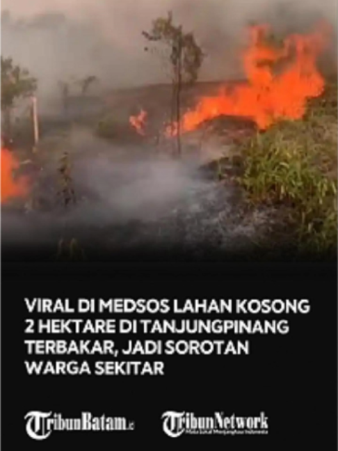 @Tribun Batam