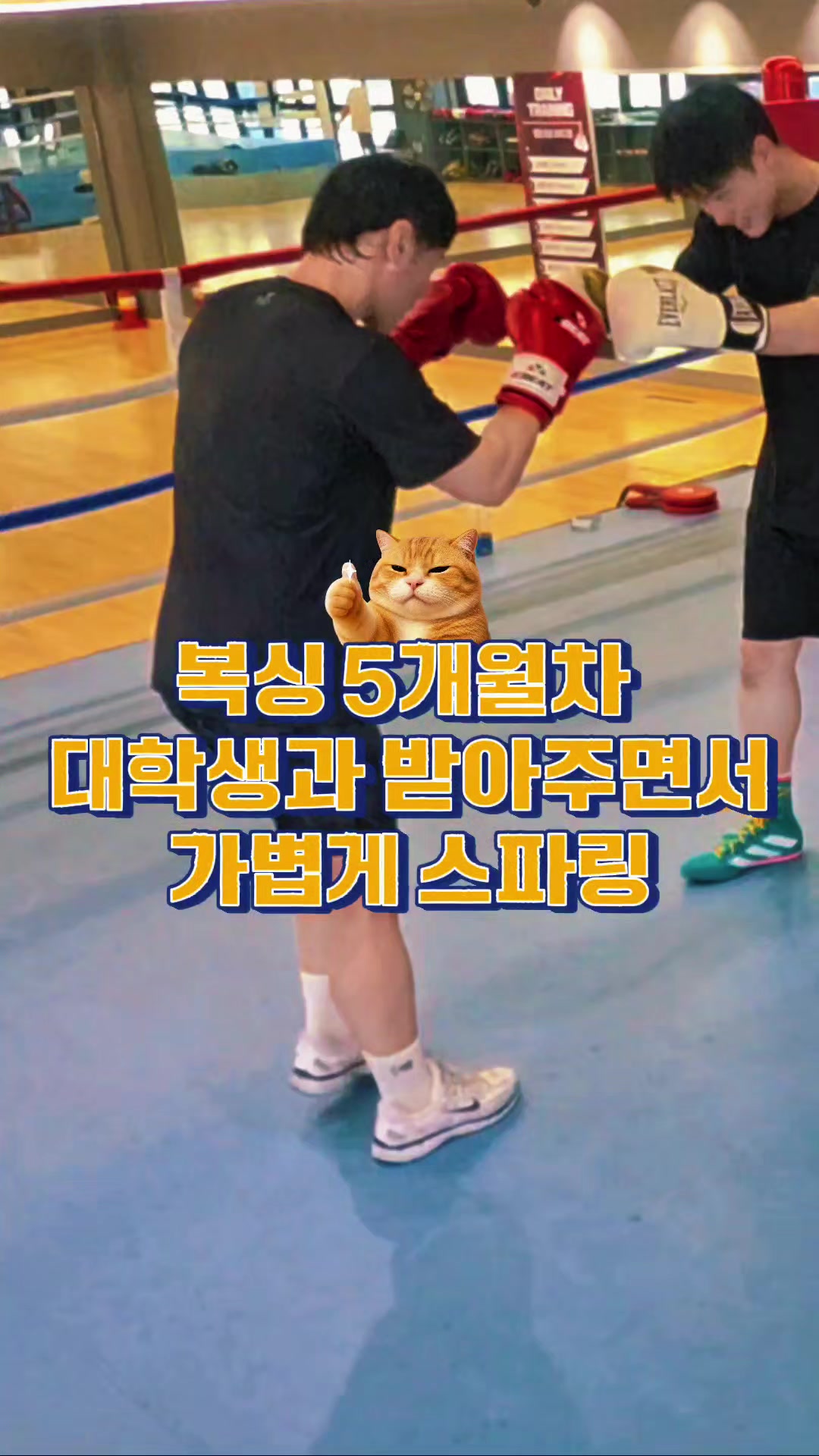 @태권히어로