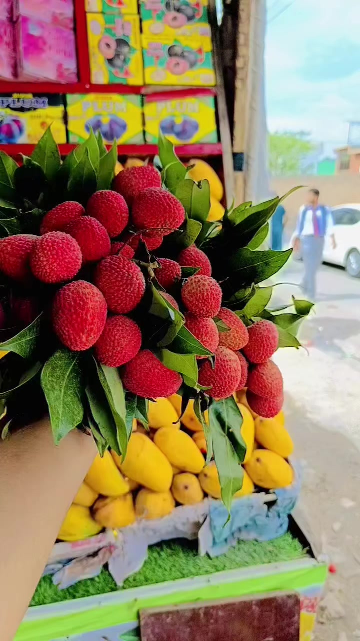 @Sardar Mahaz 🔥