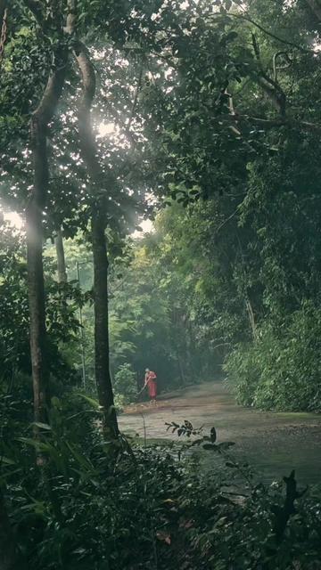 @Dhammaghosananda