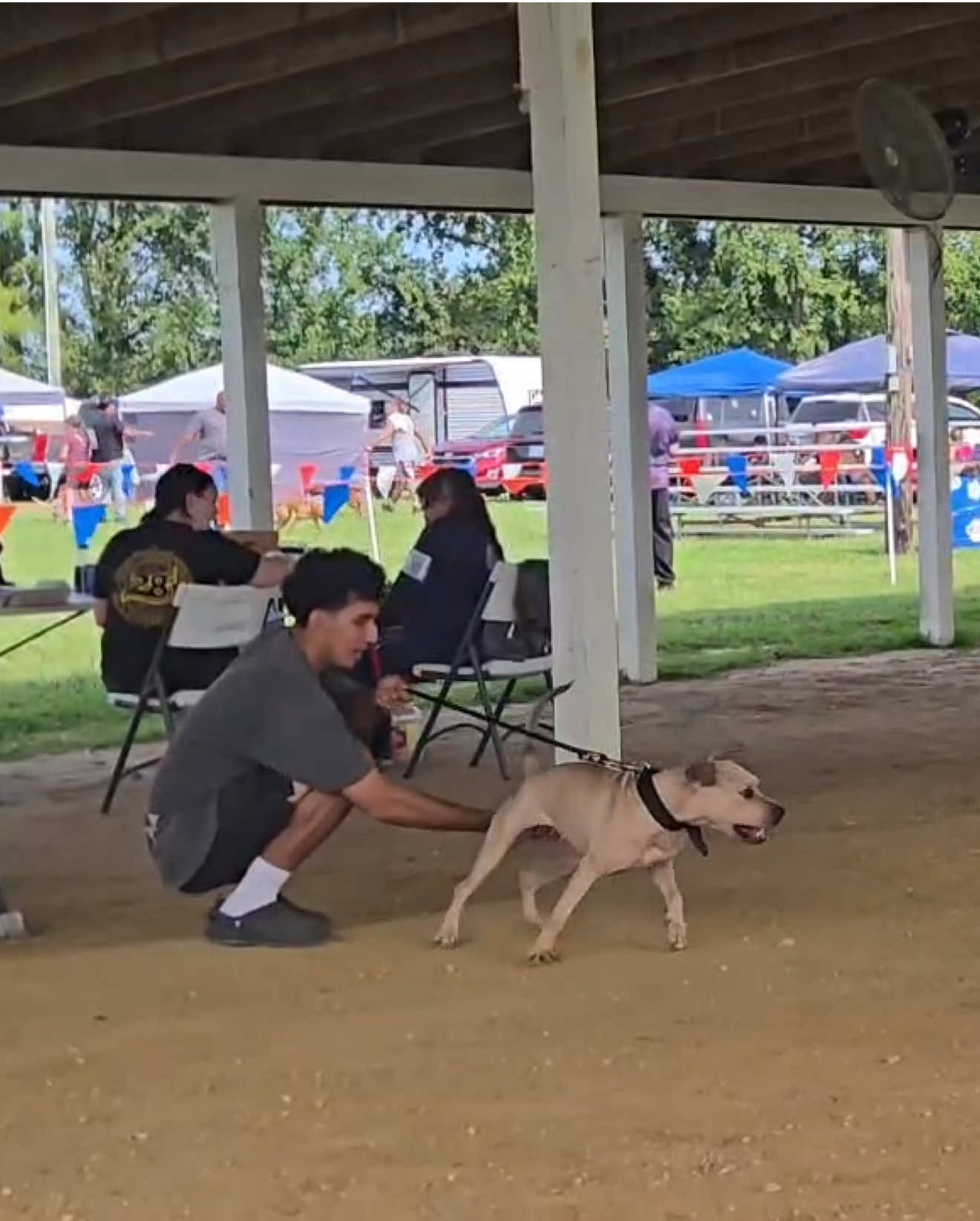 @ConcreteJungle_apbt