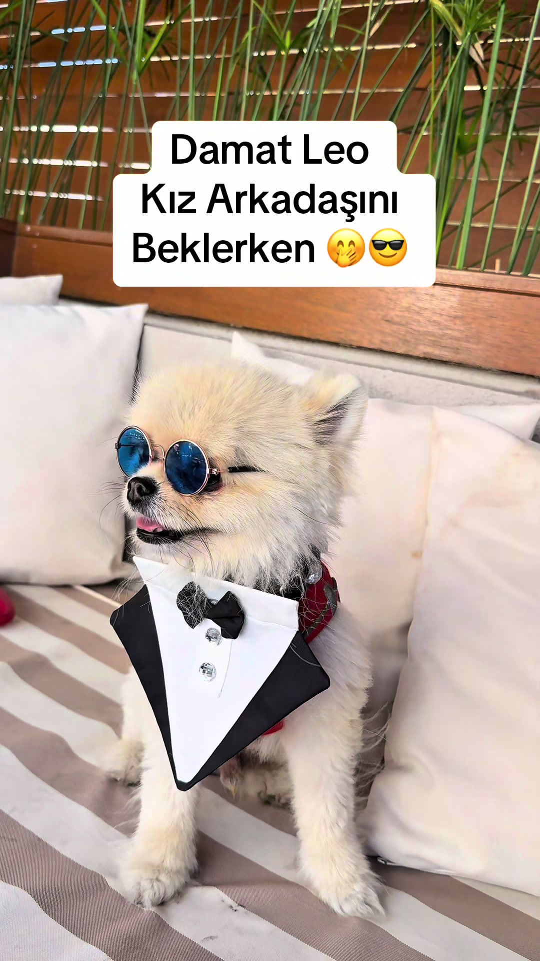 @Erdal TAŞKIRAN