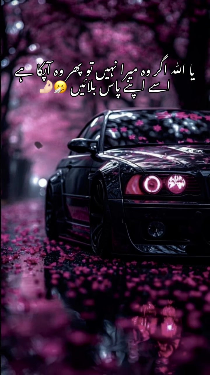 @ALEحA💗🫀