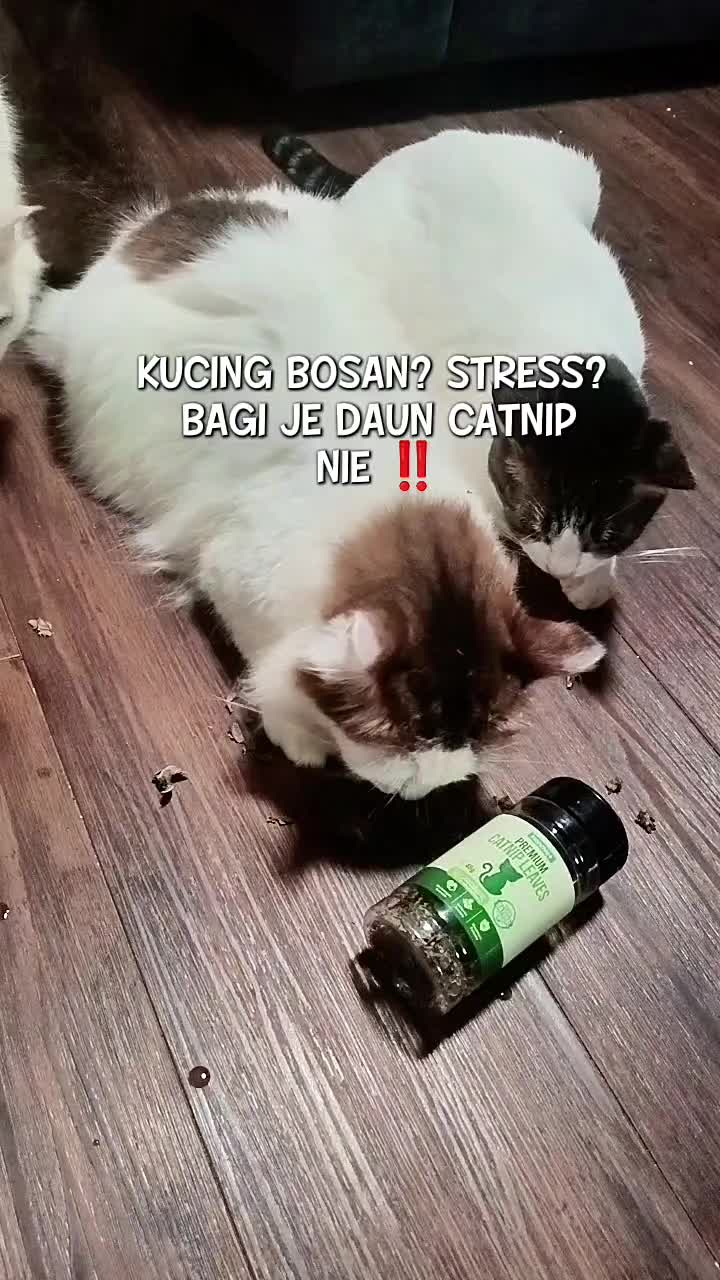 @Norazrena | Racun Tiktok