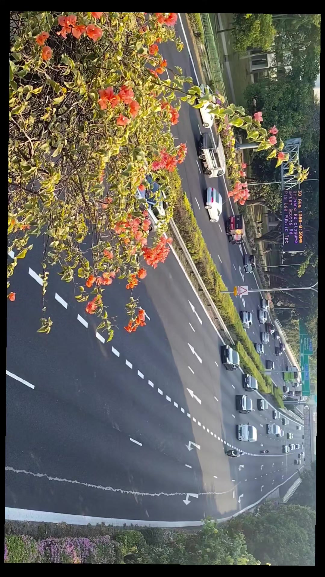 @ᎪᎡ〆SAIF 🇸🇬