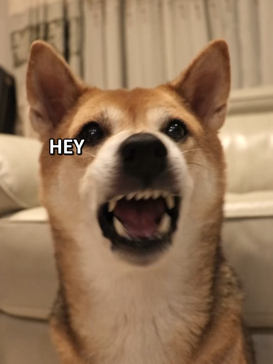 @always_winnie