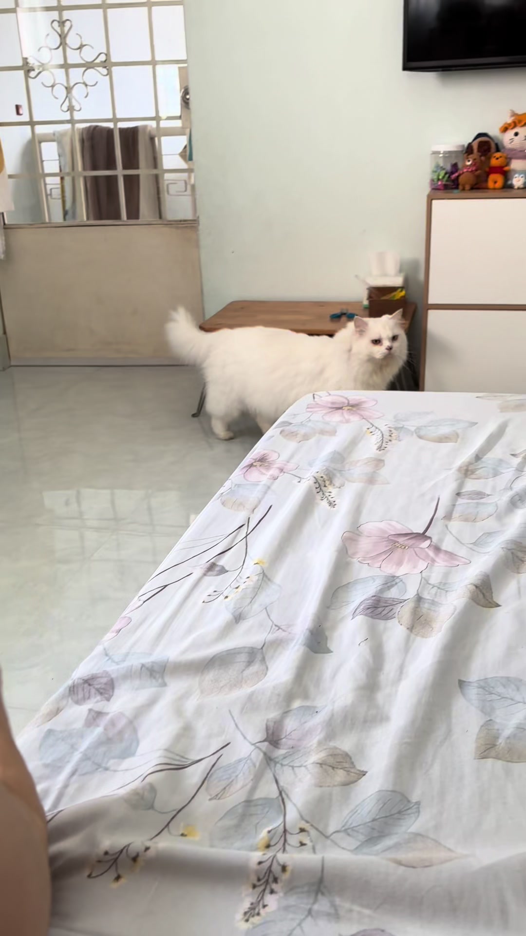 @Xù xinh xắn