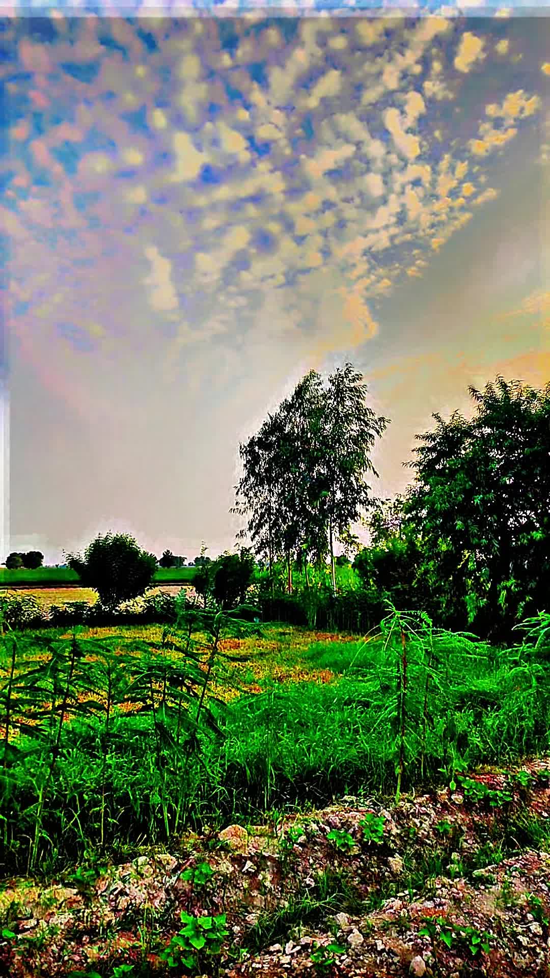@Abrar Saleem Ch