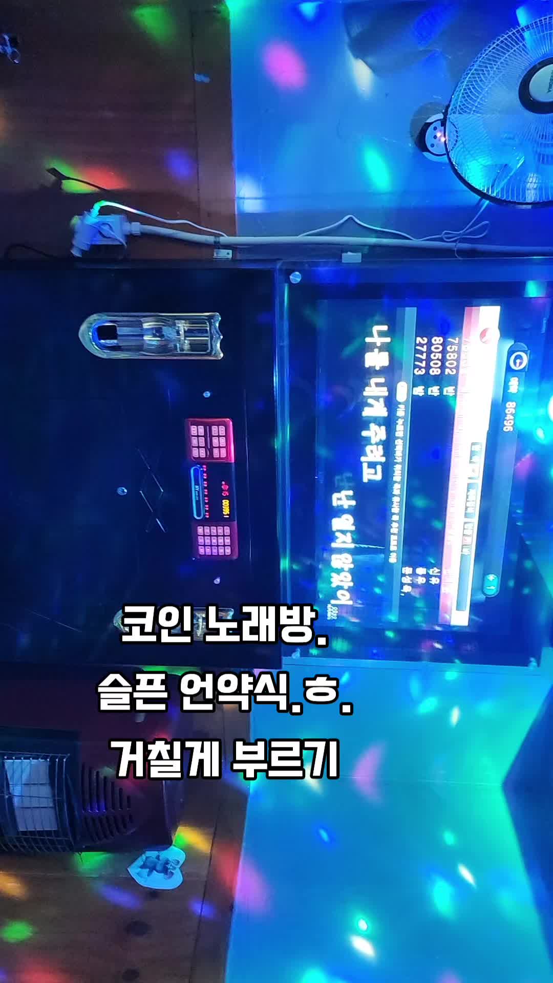 @김 새로이