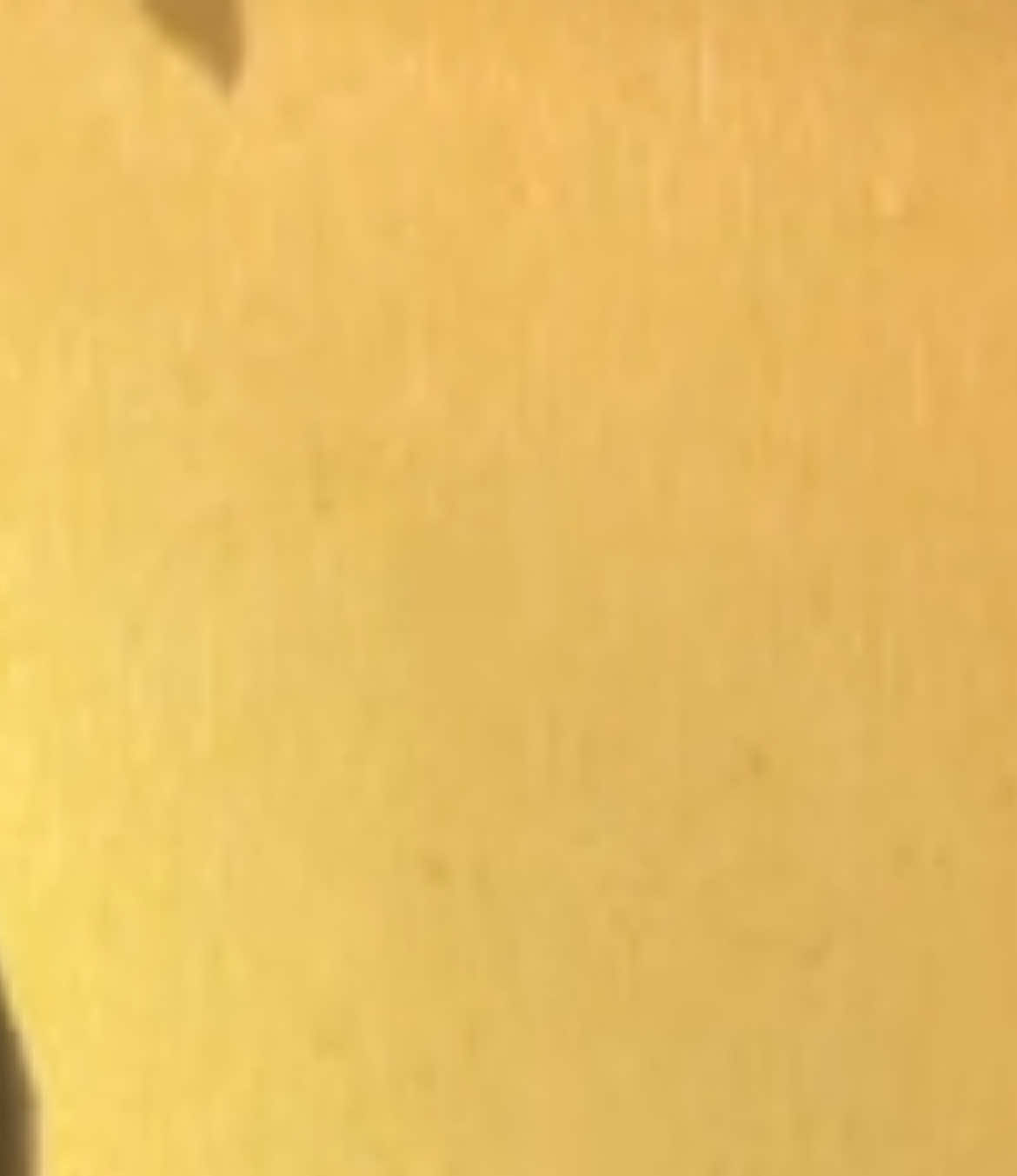 @тиша🦎