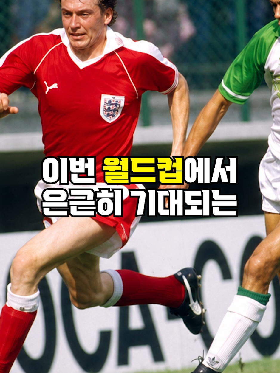 @뚝딱 상식 뚝배기