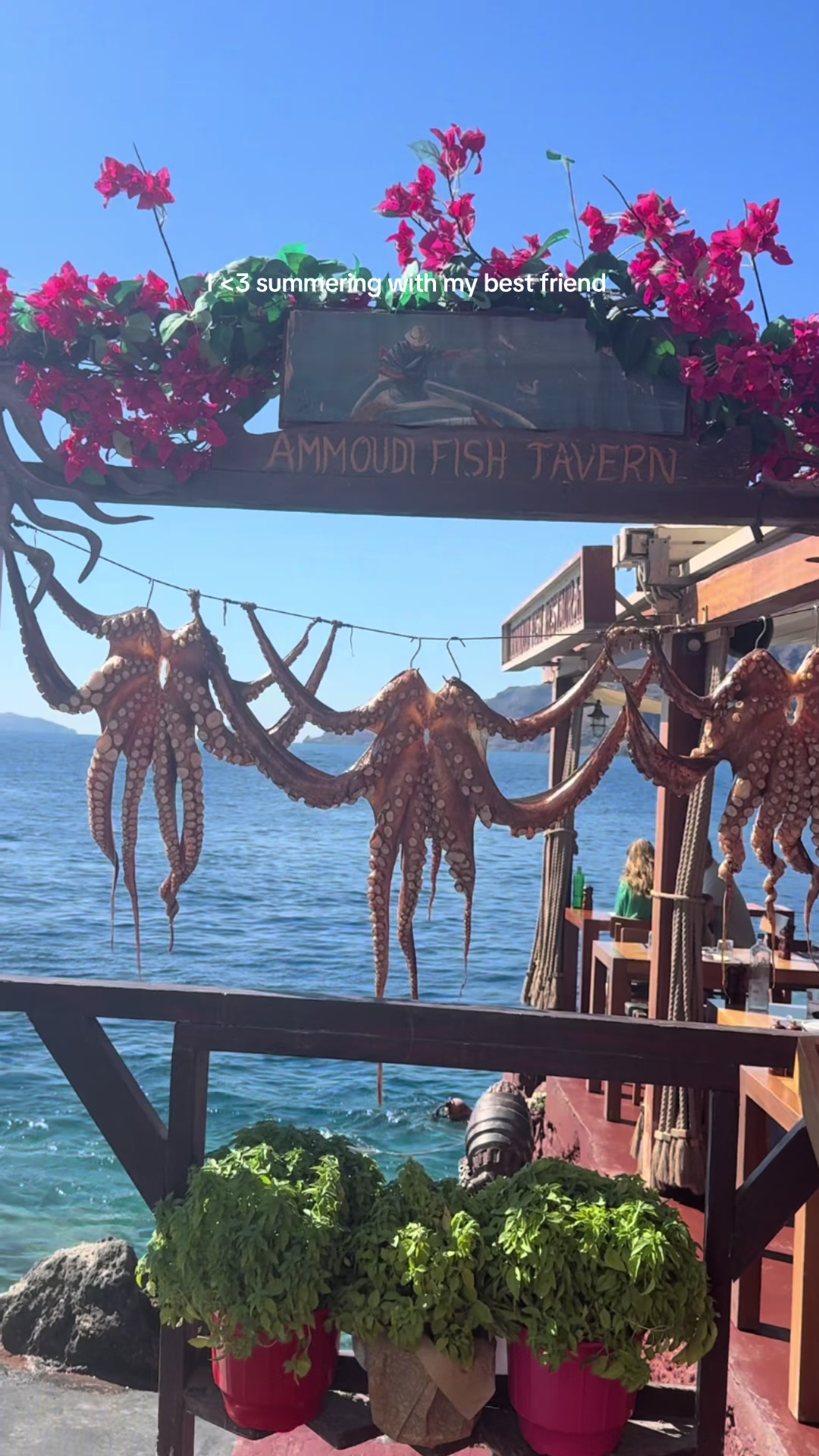 @scy