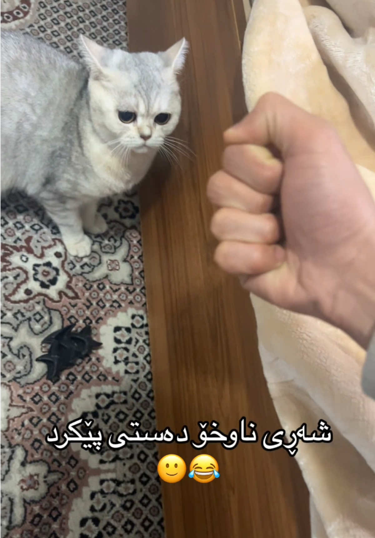 @R&rsquo;&rsquo;🌞♾️