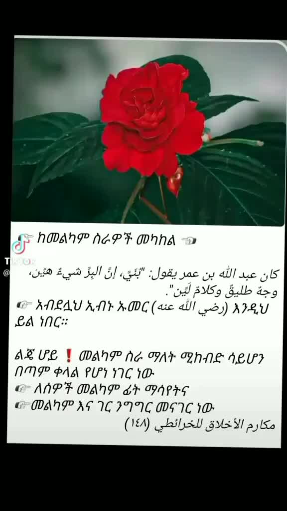 @የመካዋ ቀበጥ (S)♥♥