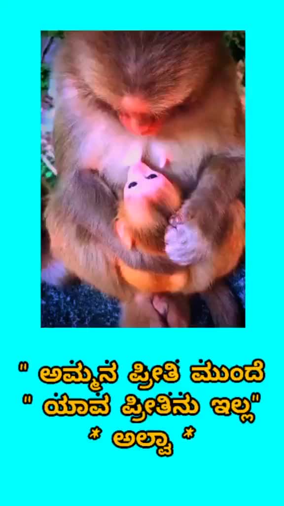 @ಅಜಯ್(ಕದಂಬ)