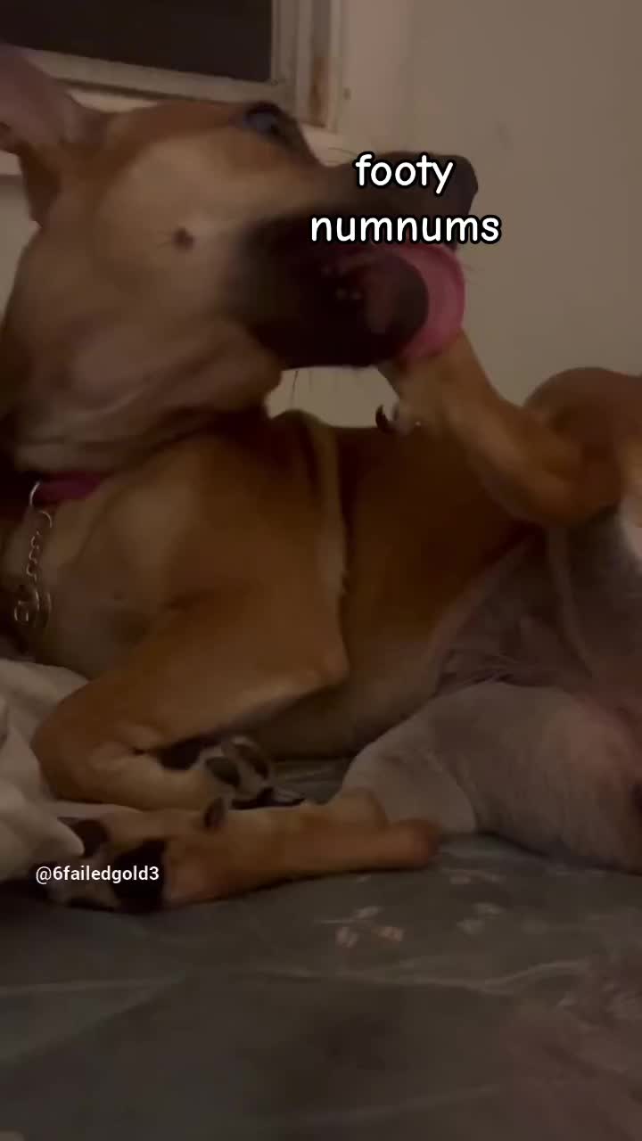 @mainplug