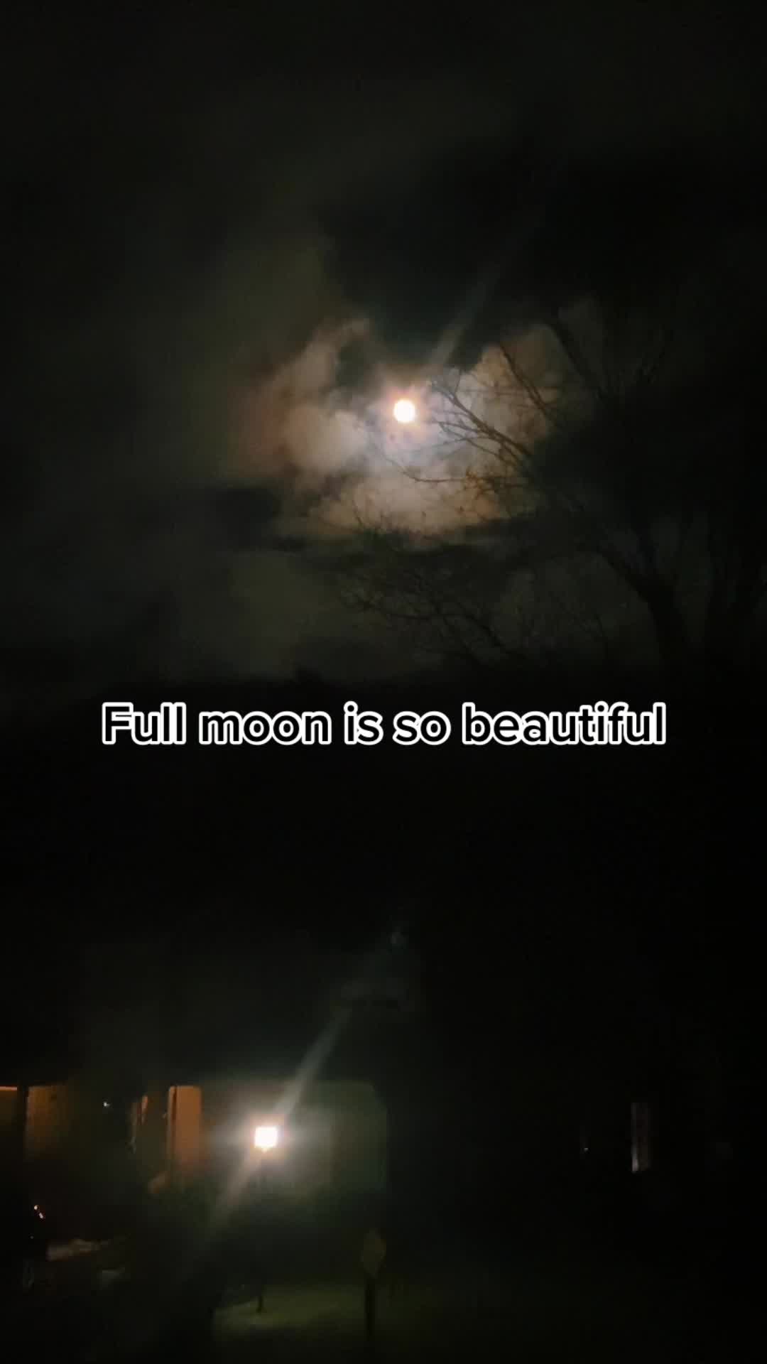 @Spooky.Moore 66