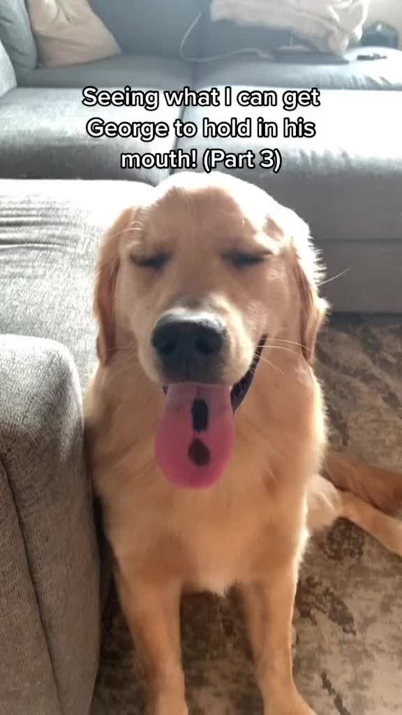 @George The Golden