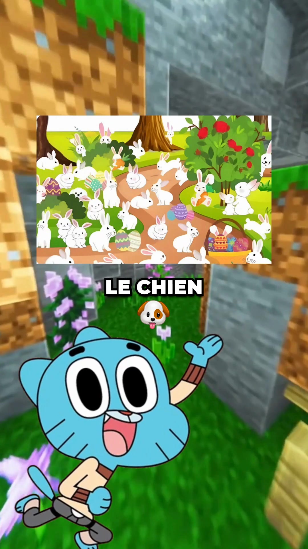 @Darwin&Gumball