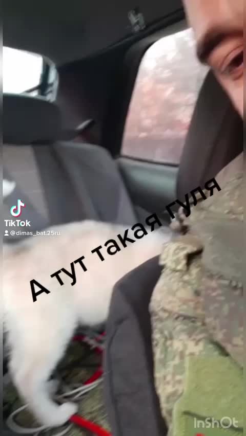 @user3505181969530