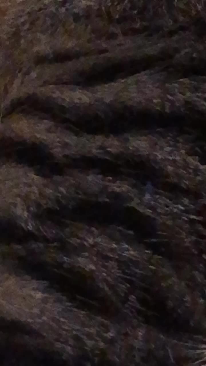 @Elena Di Caprio