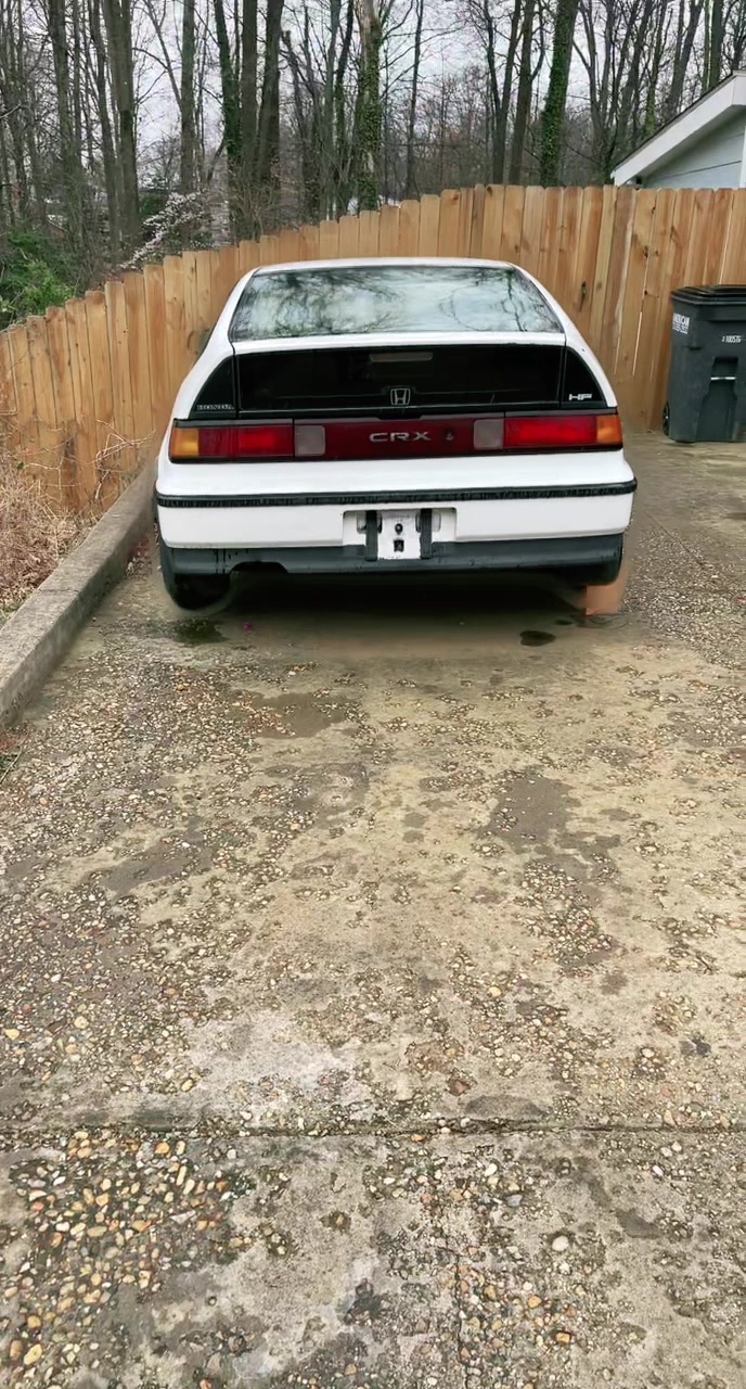 @Shitfuckit
