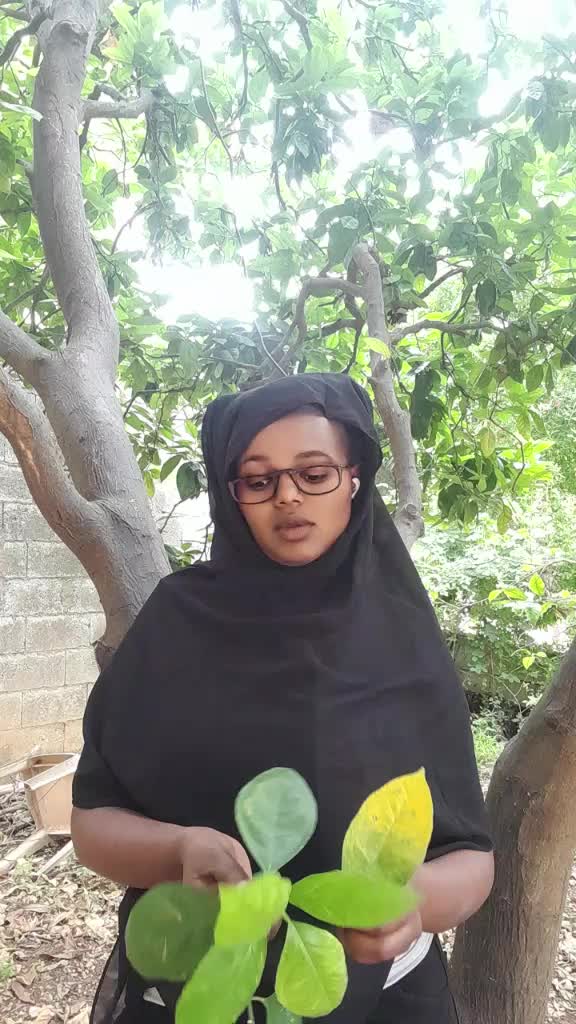@የሰዉ ቤት ኑሮ