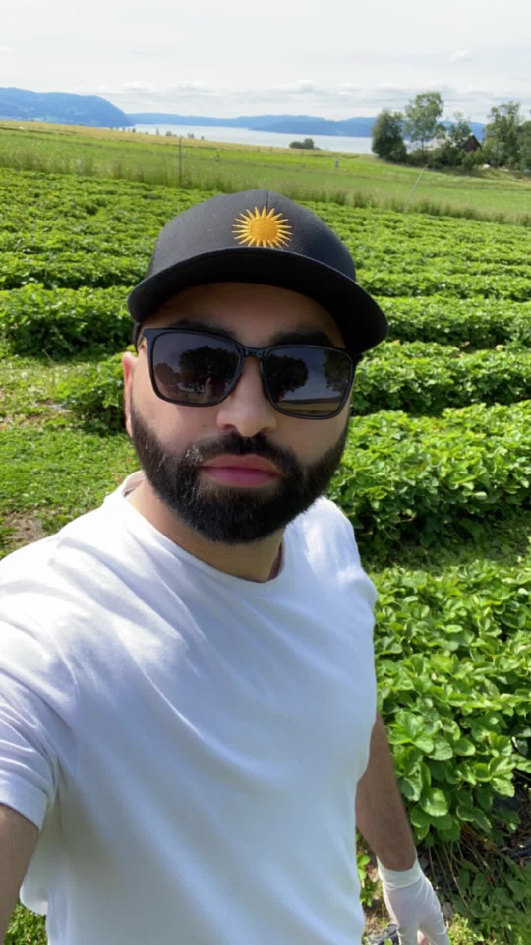 @Yaskokurd