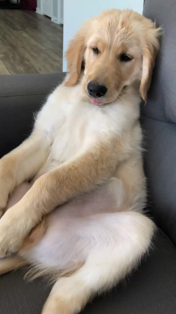 @yogitherapi
