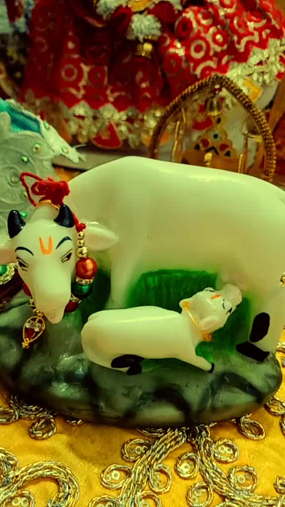 @mamta